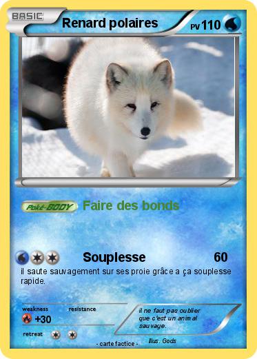 Pokemon Renard polaires