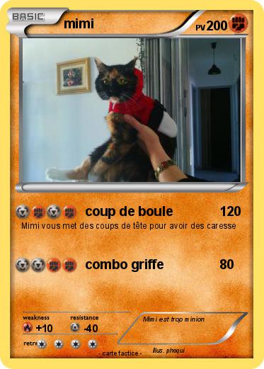 Pokemon mimi