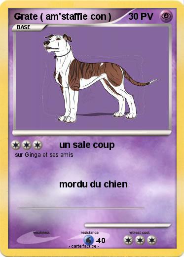 Pokemon Grate ( am'staffie con )