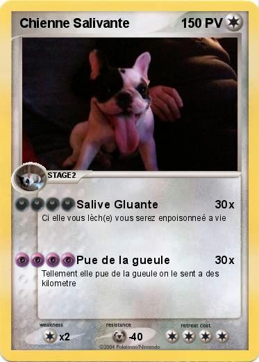 Pokemon Chienne Salivante