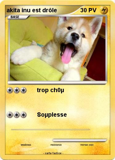 Pokemon akita inu est drôle