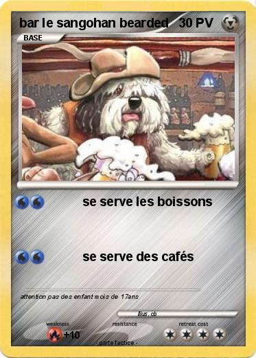 Pokemon bar le sangohan bearded