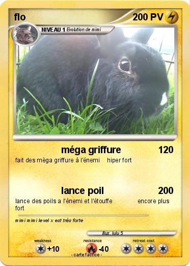 Pokemon flo