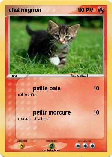 Pokemon chat mignon
