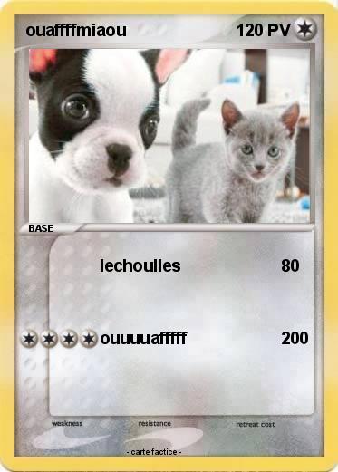 Pokemon ouaffffmiaou