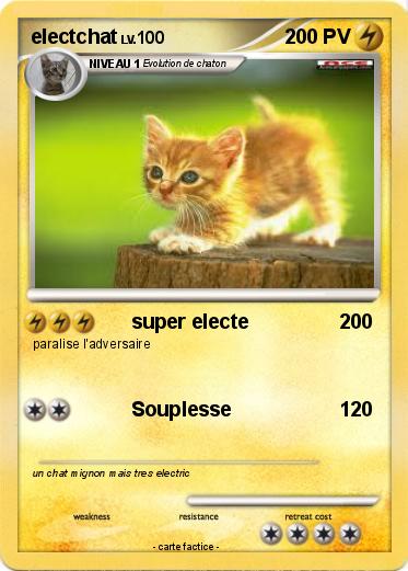 Pokemon electchat