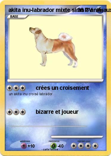 Pokemon akita inu-labrador mixte sims 3 animaux & cie