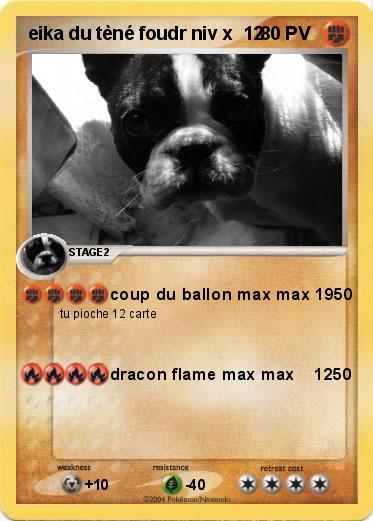 Pokemon eika du tèné foudr niv x  12
