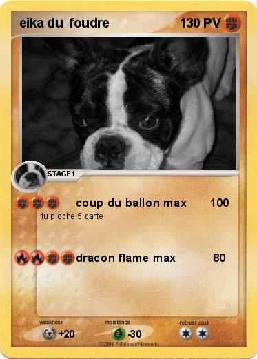 Pokemon eika du  foudre