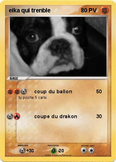 Pokemon eika qui trenble