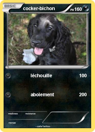 Pokemon cocker-bichon