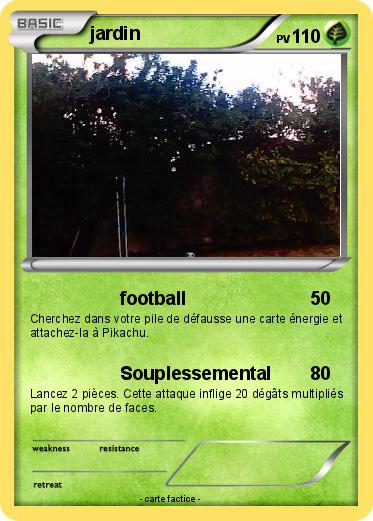Pokemon jardin