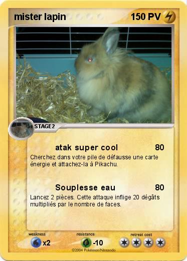 Pokemon mister lapin