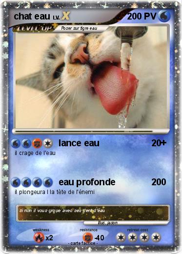 Pokemon chat eau