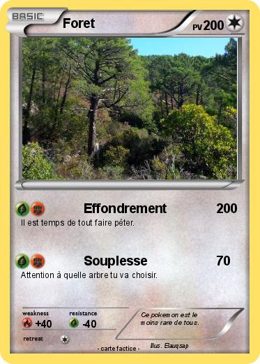 Pokemon Foret