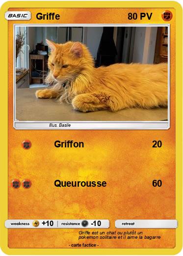 Pokemon Griffe