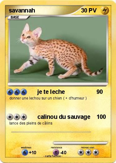 Pokemon savannah