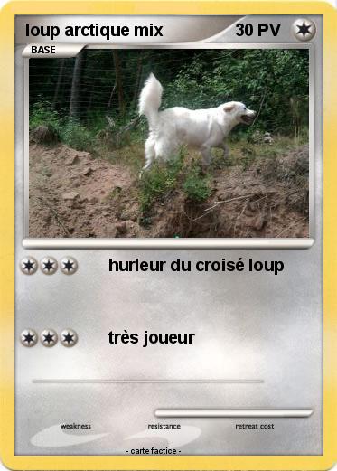 Pokemon loup arctique mix
