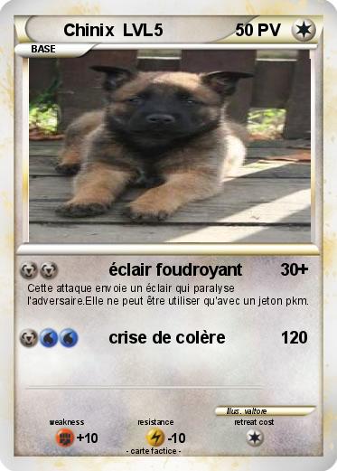 Pokemon Chinix  LVL5