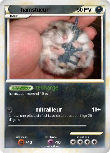 Pokemon hamstueur