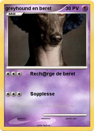 Pokemon greyhound en beret