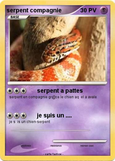Pokemon serpent compagnie