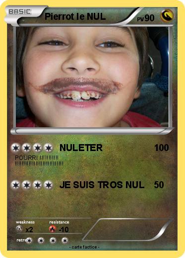 Pokemon Pierrot le NUL