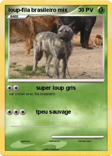 Pokemon loup-fila brasileiro mix