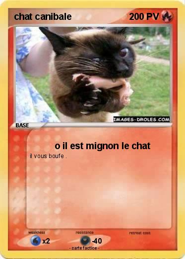 Pokemon chat canibale