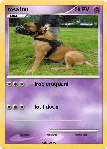 Pokemon tosa inu
