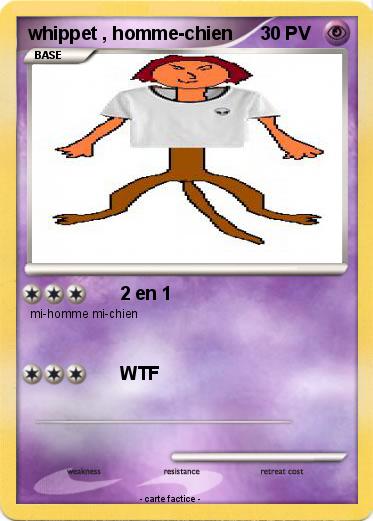 Pokemon whippet , homme-chien