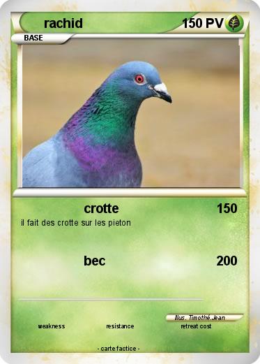 Pokemon rachid