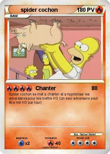 Pokemon spider cochon