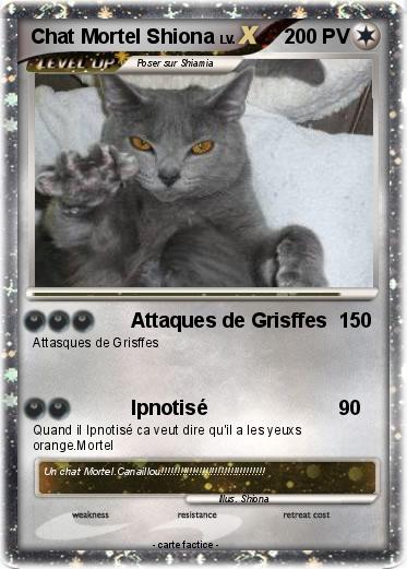 Pokemon Chat Mortel Shiona
