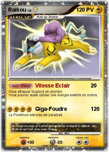 Pokemon Raikou