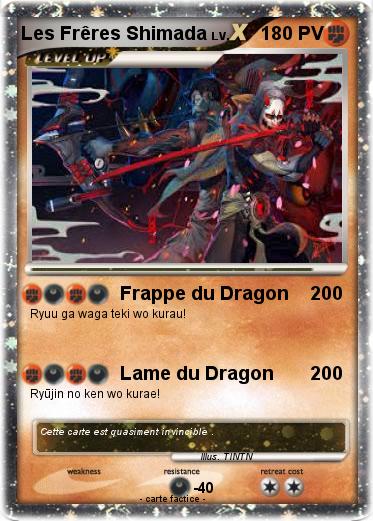 Pokemon Les Frêres Shimada