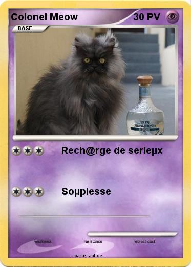 Pokemon Colonel Meow