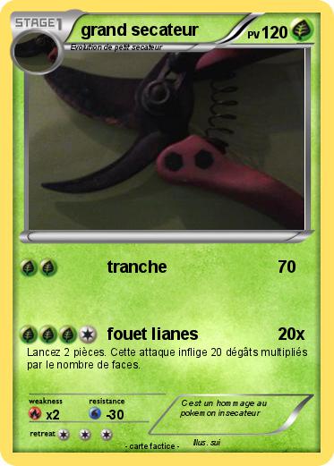 Pokemon grand secateur