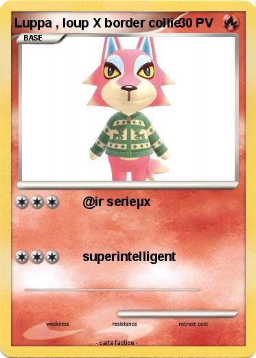 Pokemon Luppa , loup X border collie