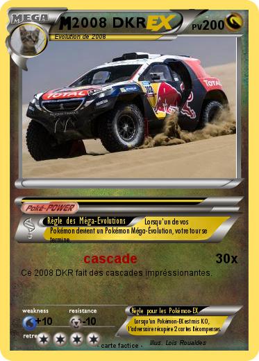Pokemon 2008 DKR