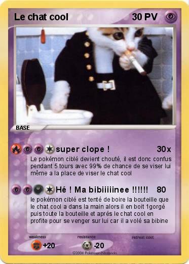 Pokemon Le chat cool