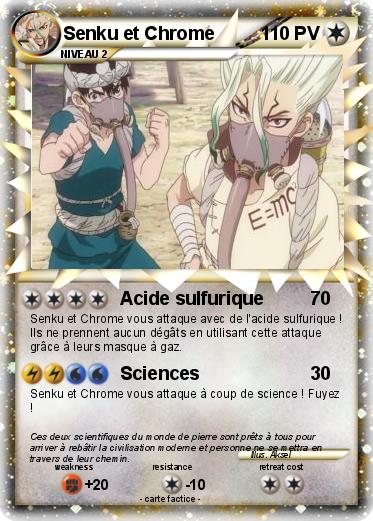 Pokemon Senku et Chrome