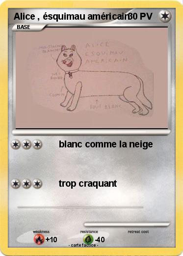 Pokemon Alice , ésquimau américain