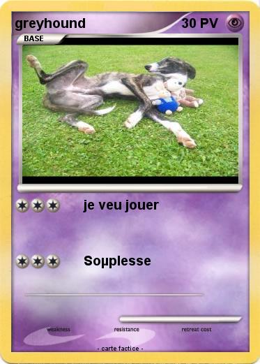Pokemon greyhound