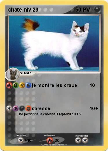 Pokemon chate niv 29