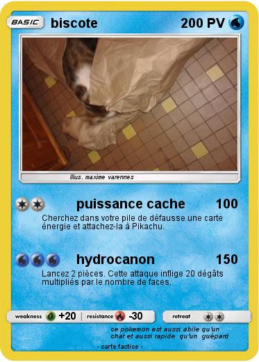 Pokemon biscote