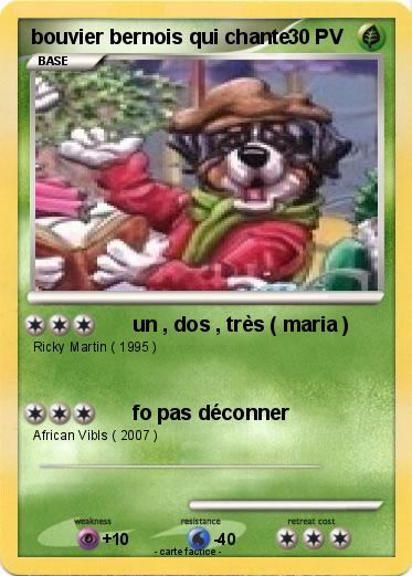 Pokemon bouvier bernois qui chante