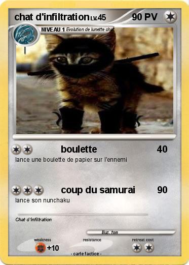 Pokemon chat d'infiltration