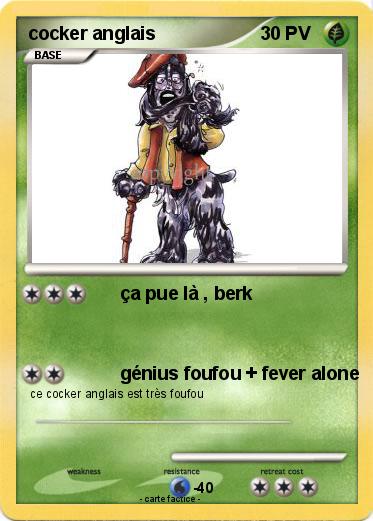 Pokemon cocker anglais