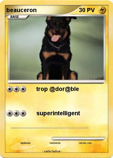 Pokemon beauceron